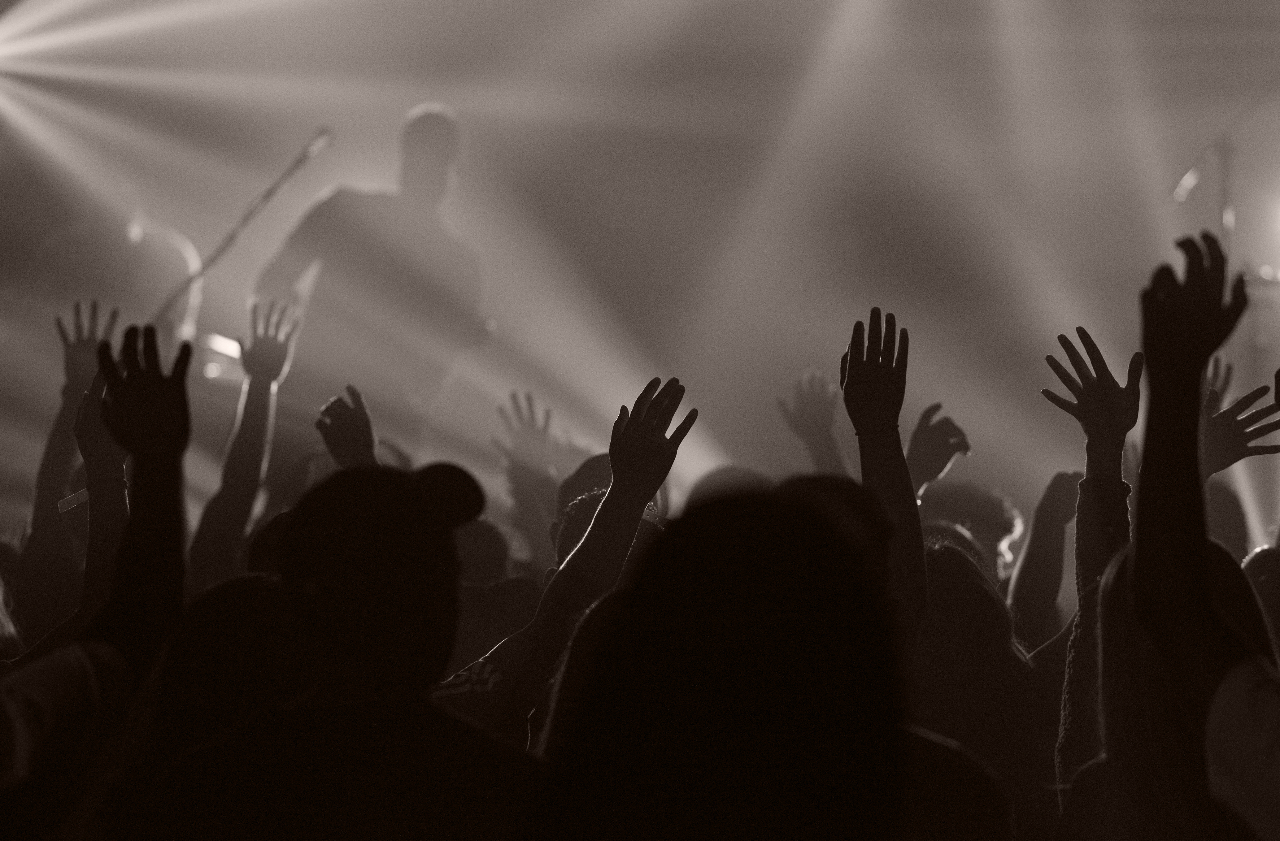 Crowd enjoying music